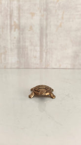 Small bronze turtle figurine with detailed shell pattern on a white background.